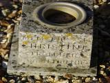 image of grave number 958741